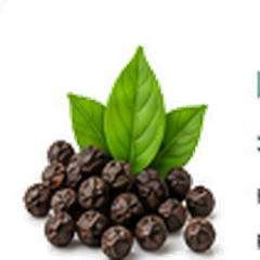 BioPerine Black Pepper Extract