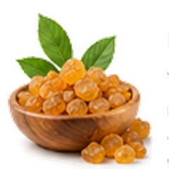 Boswellia Serrata Extract