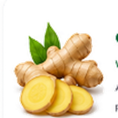 Ginger Root Extract