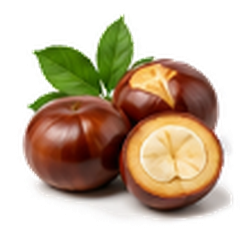 Horse Chestnut Extract