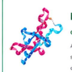 Nattokinase Enzyme